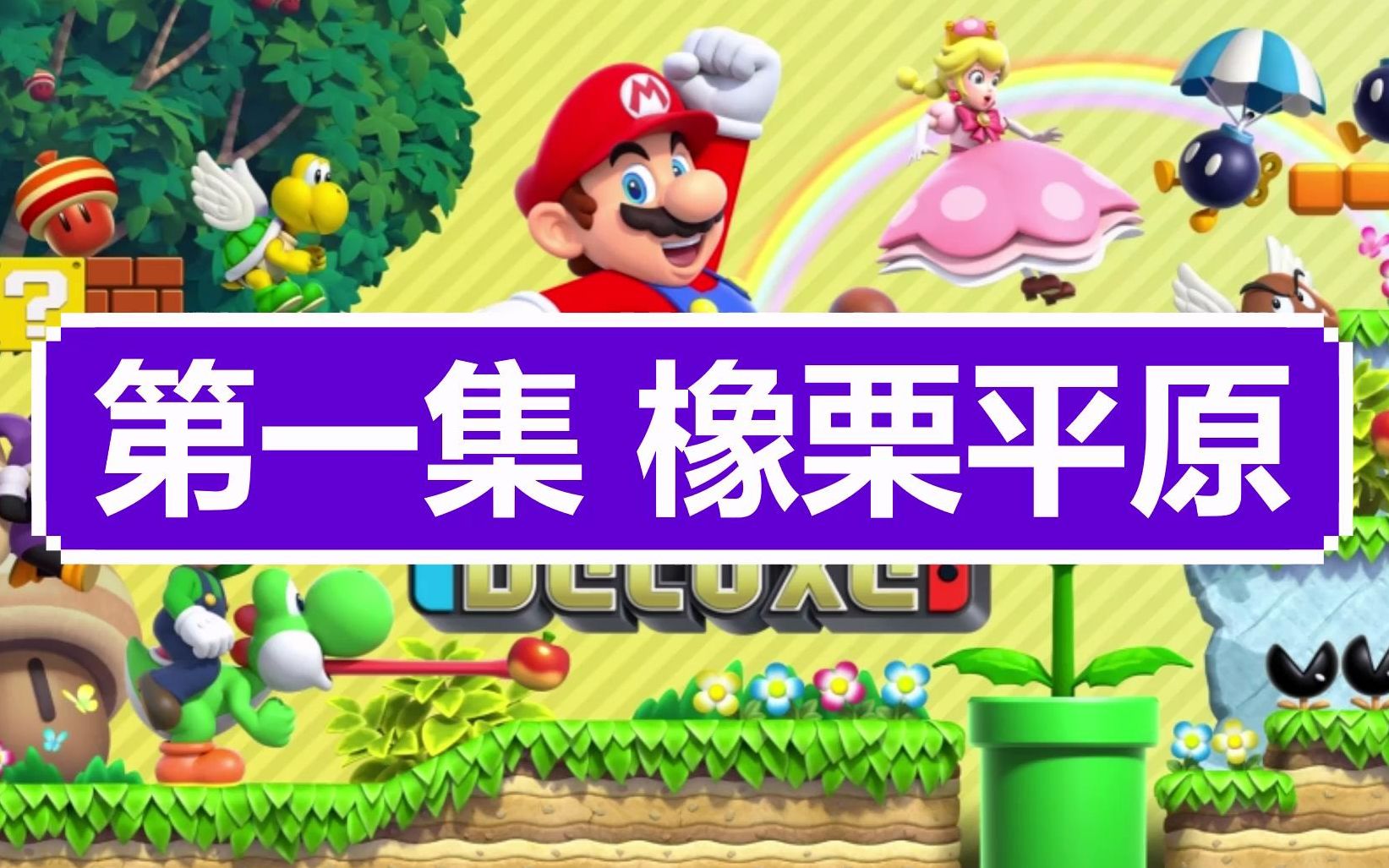 [图]【高清】switch《新超级路易吉U》全收集新手解说攻略(新超级马里奥兄弟U豪华版）-橡栗平原