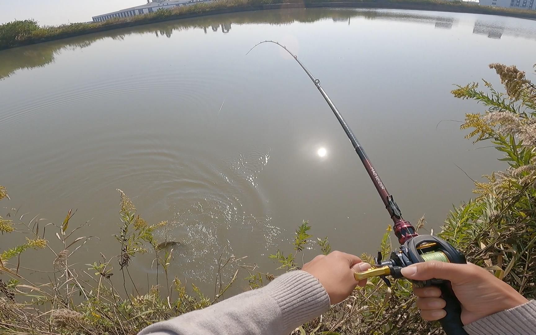 冬季路亚鳜鱼,自己开发钓位连守几天,终于上个小坛子