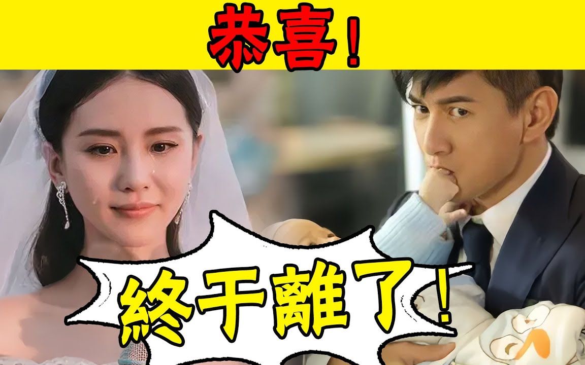 刘诗诗吴奇隆官宣离婚!?女方怒发23条爆料哔哩哔哩bilibili