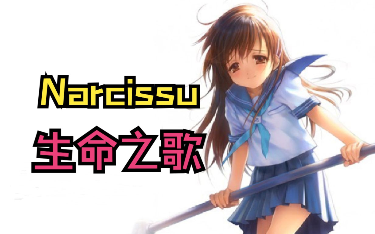 用死亡唱响生命之歌,十多年前感动至极的究极神作,Narcissu——水仙剧情