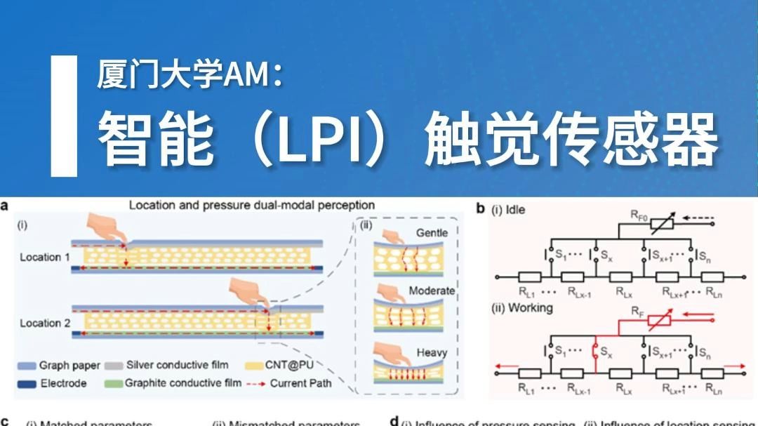 厦门大学:智能(LPI)触觉传感器哔哩哔哩bilibili