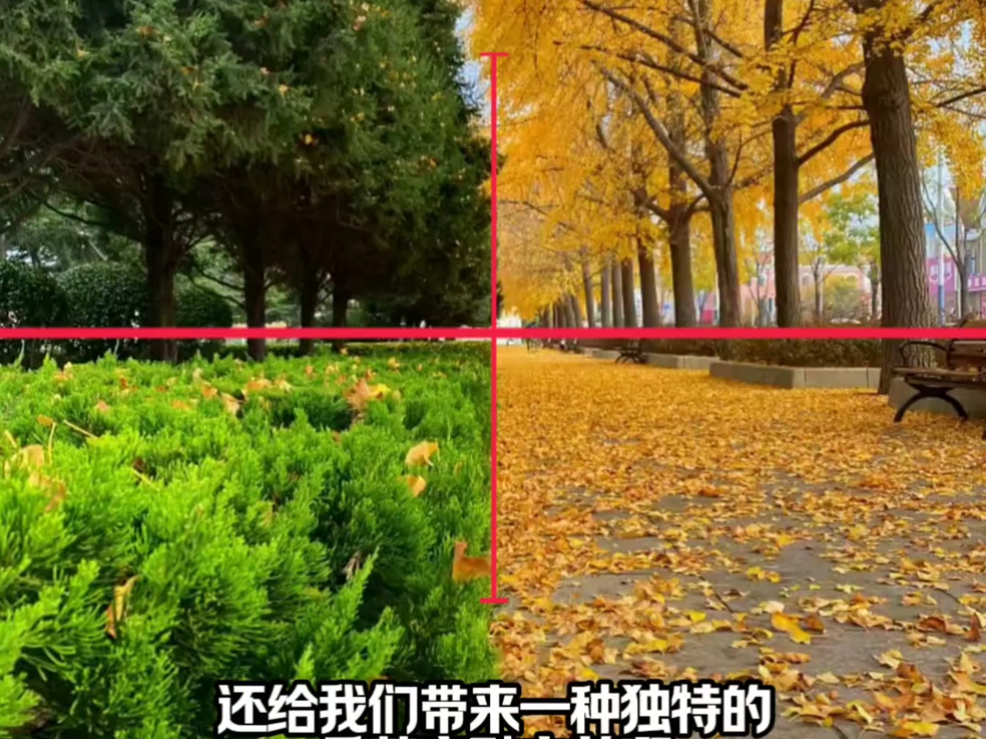 视觉冲击力就是这么来的～