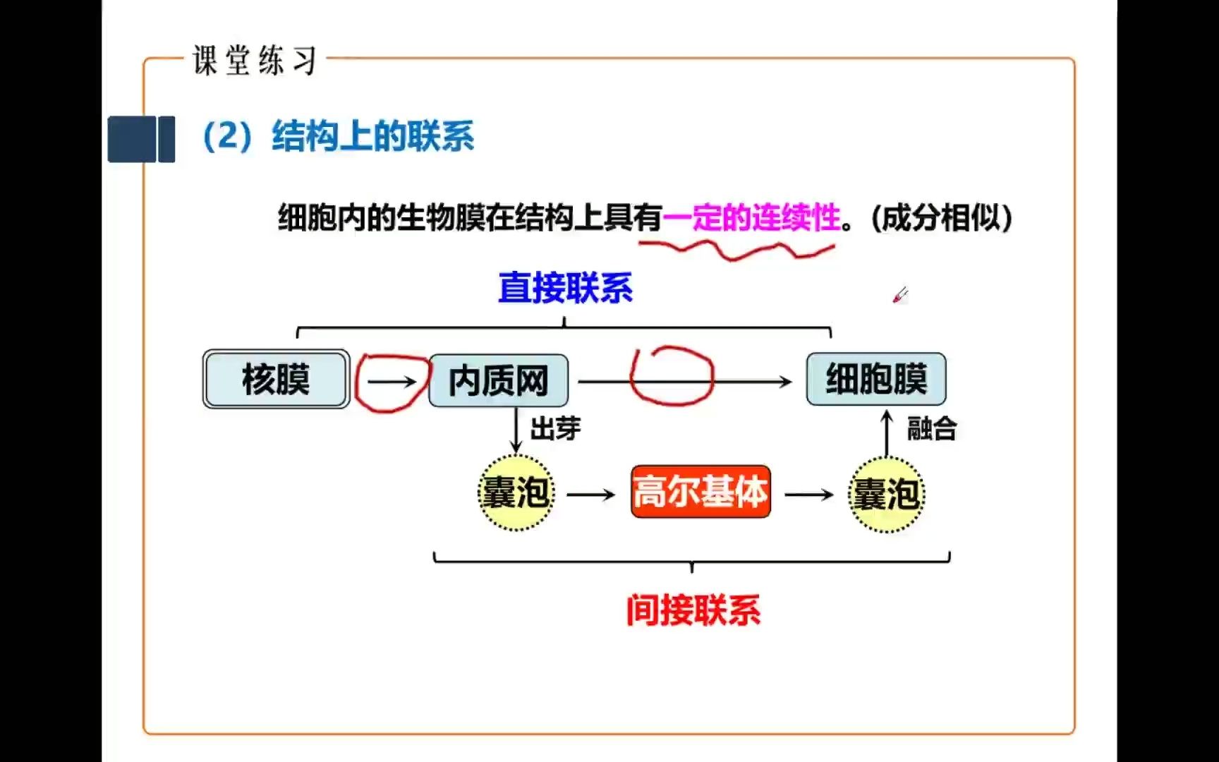 细胞的生物膜系统哔哩哔哩bilibili