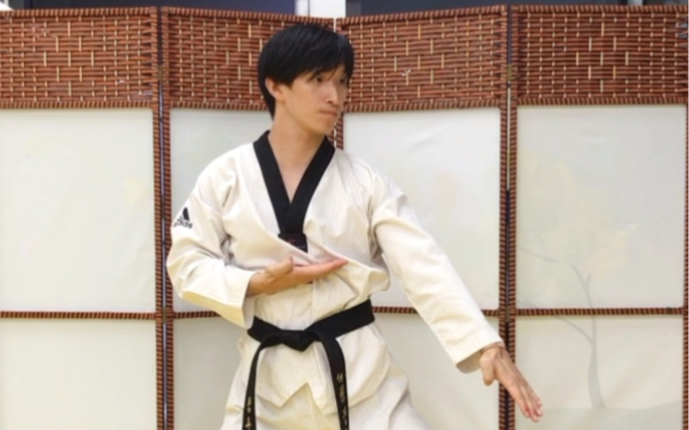 黑带品势平原手部动作:双手刀 双手刀下防