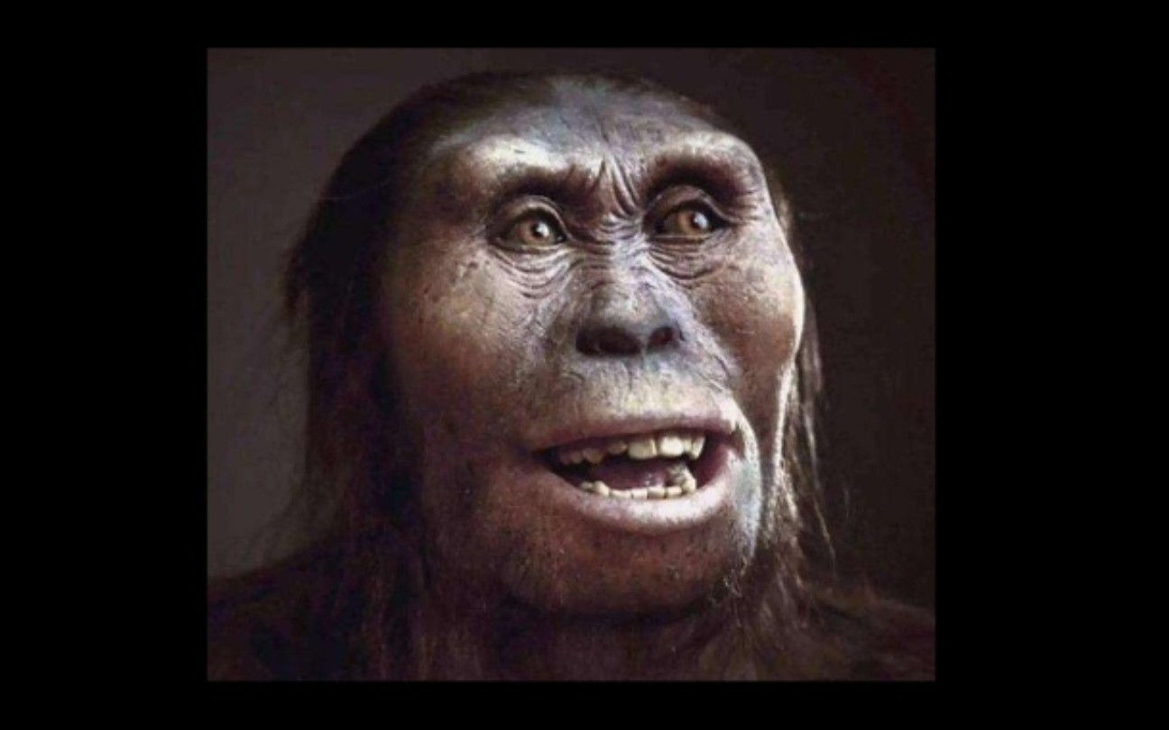 一切的一切都要从那个笑猿说起