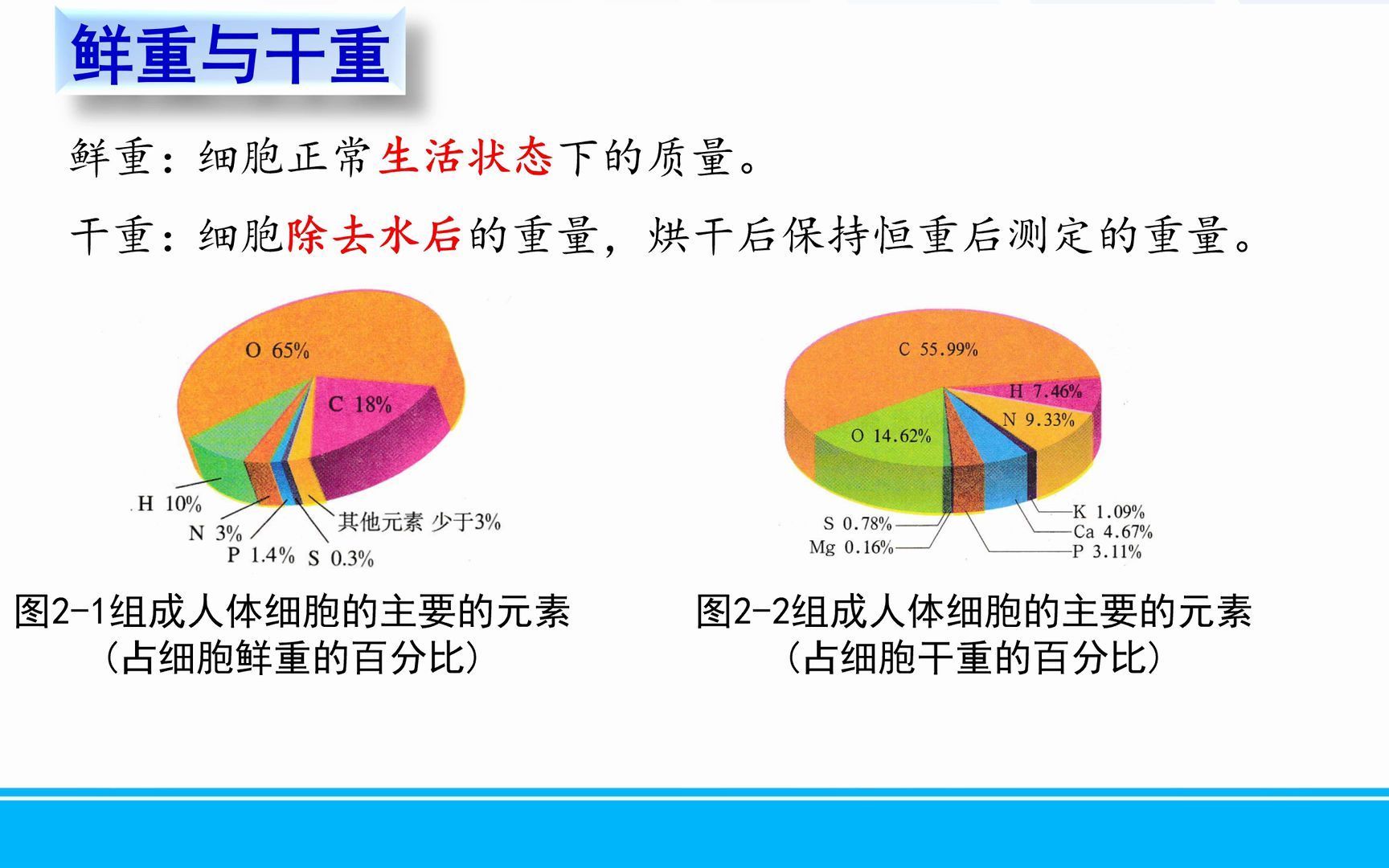 [图]文心雕龙高中生物必修1鲜重与干重