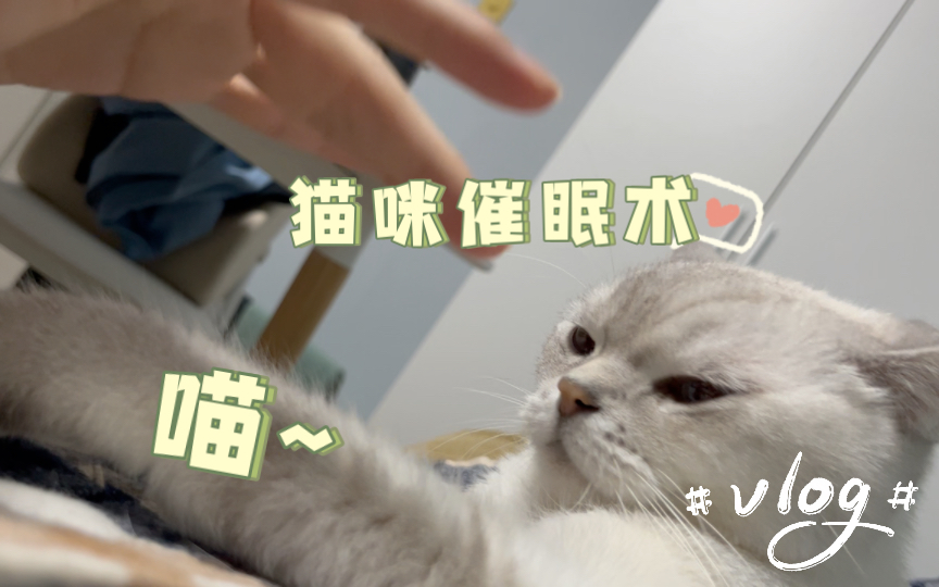 [图]猫咪催眠术