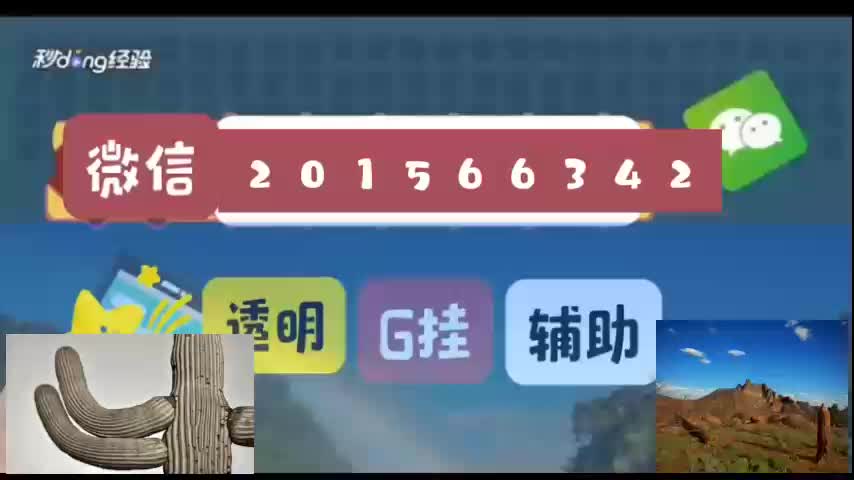 看穿碗的鱼虾9