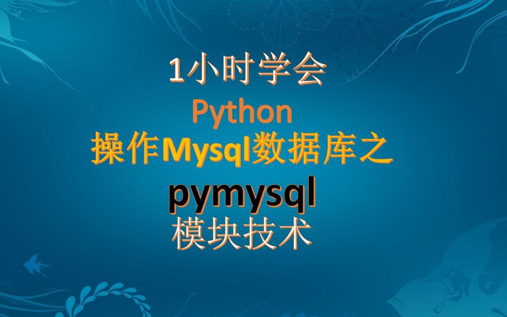 2024 1小时学会 Python操作Mysql数据库之pymysql模块技术(无废话版)_哔哩哔哩_bilibili