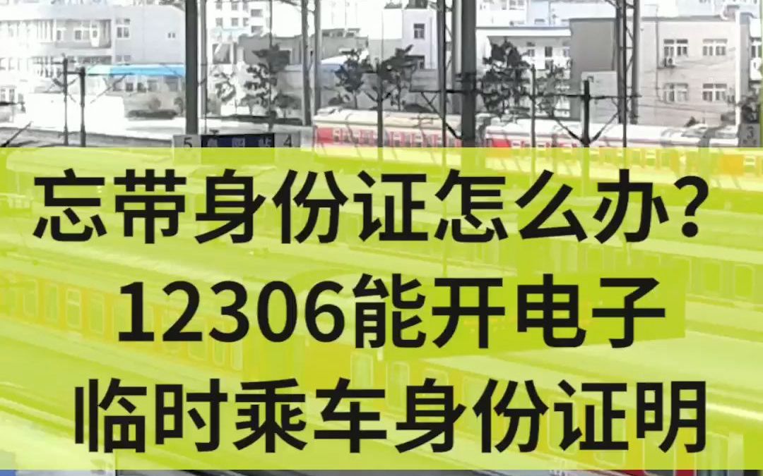 忘带身份证怎么办?12306能开电子临时乘车身份证明哔哩哔哩bilibili