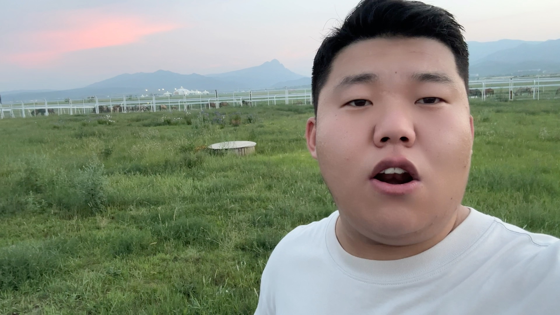 四岁的海骝马送给大家!