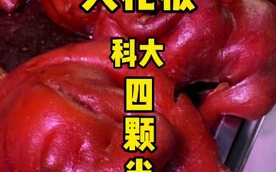 鞍山猪脚饭的天花板了,推荐指数:四颗半星哔哩哔哩bilibili