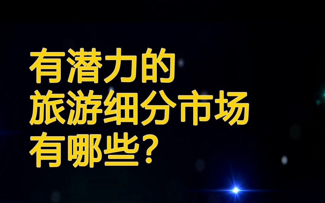 未来有潜力的旅游细分市场有哪些?哔哩哔哩bilibili