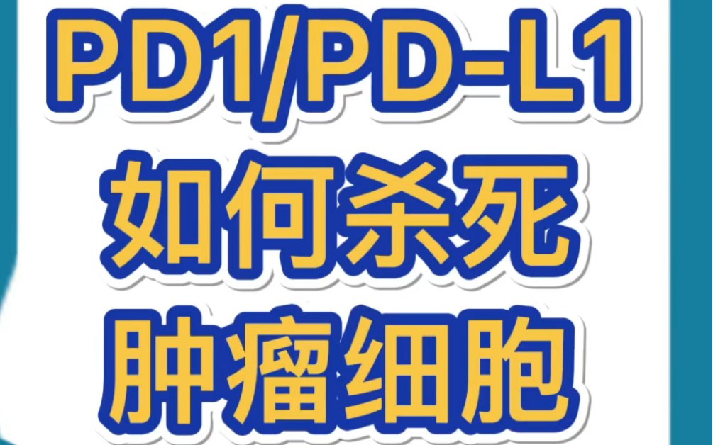 PD1/PDL1单抗如何杀死肿瘤细胞哔哩哔哩bilibili