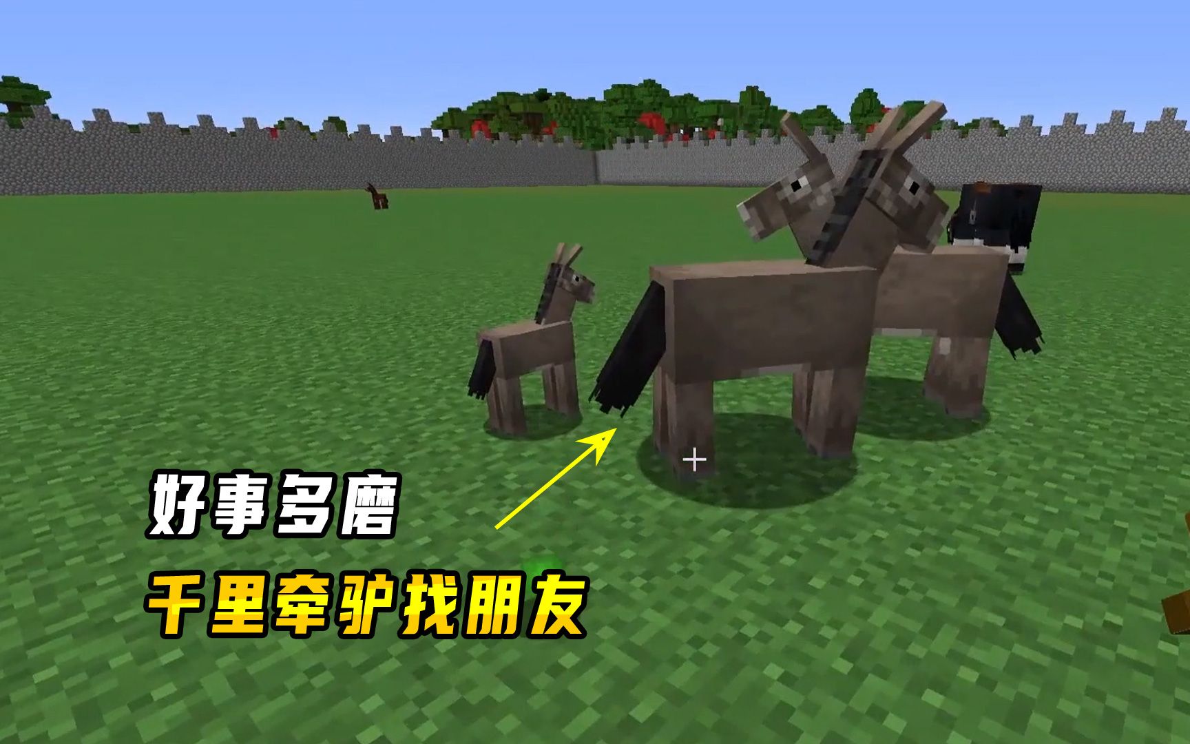 我的世界1.16联机467:好事多磨,千里牵驴找朋友,成就进度再加1