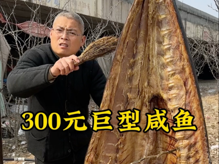 300元巨型金枪鱼