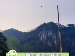 Скачать видео: 上一秒广西老太太，下一秒桂军掷弹兵，广西人玩魁地奇甚至都不用骑扫帚！#娱乐评论大赏 #搞笑 #搞笑视频 #高杆绣球 #抛绣球