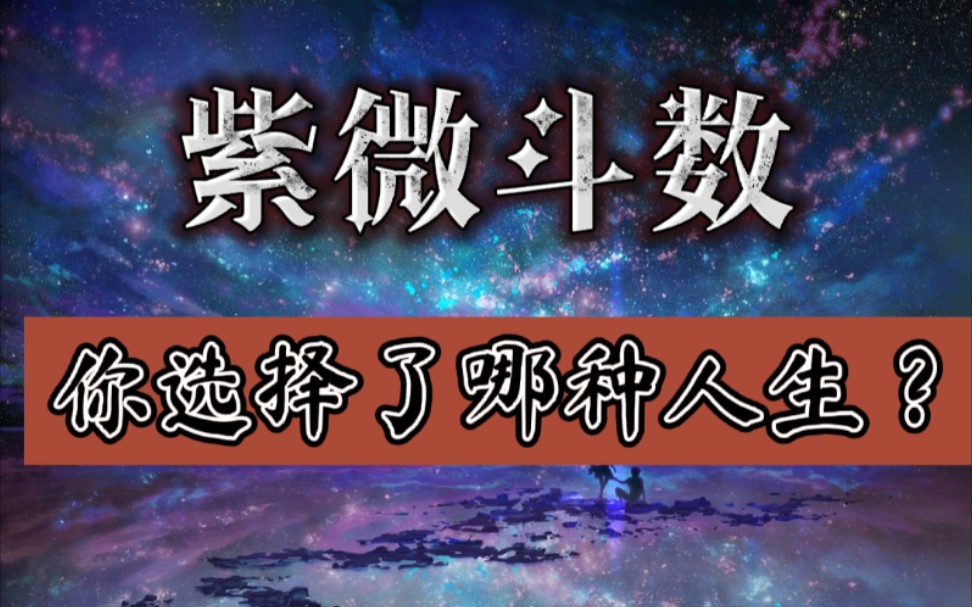 《紫微斗数》你选择哪种人生?备注:应命主要求,本期视频最后会被删除.哔哩哔哩bilibili