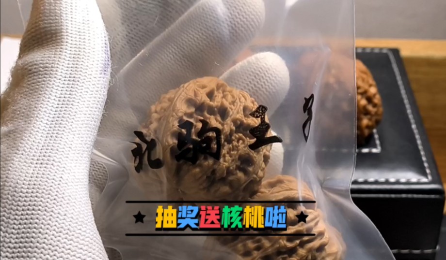 今天给大家包邮送一对离不开的品种 一键三连在评论区下方领号 3天后在地球开奖 没有我地球的看我主页不然中奖了都不知道哈哔哩哔哩bilibili