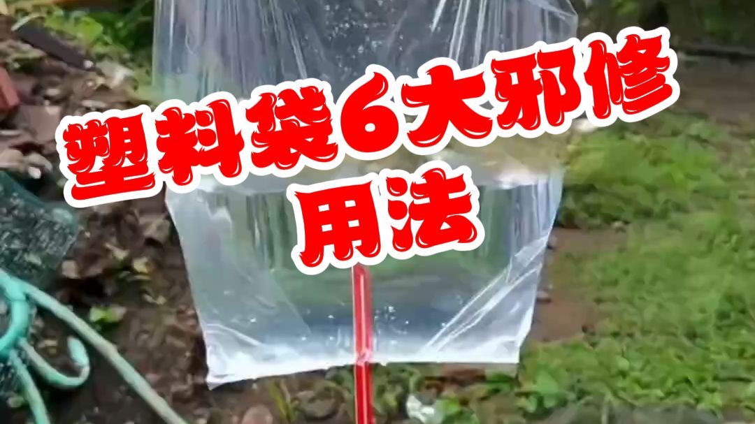 塑料袋6大邪修用法