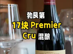 Download Video: 勃艮第 17块Premier Cru混酿