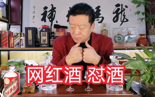 042期:胖东来网红怼酒,好喝吗,马三贵带你来尝一下哔哩哔哩bilibili