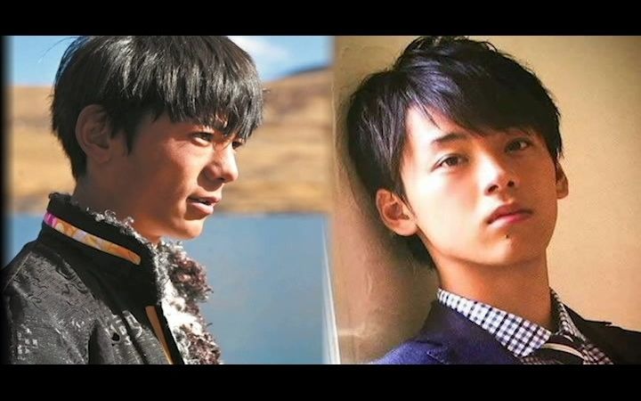 活动  丁真在日本火了?帅总是相似却又不相同的