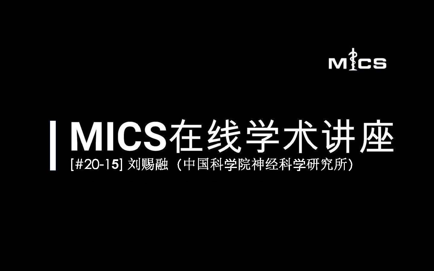 [#2015] MICS在线学术讲座:刘赐融(狨猴脑图谱计划)哔哩哔哩bilibili