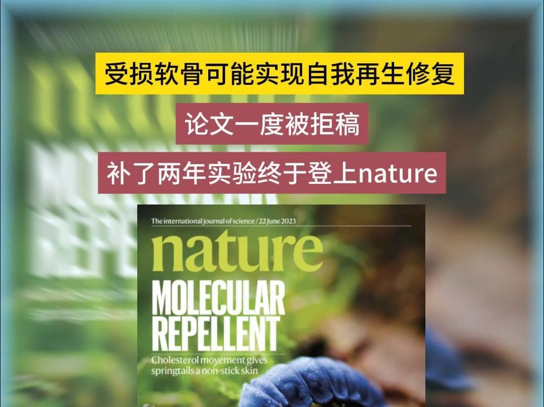 软骨再生的希望! 被拒稿后补了两年实验顺利发表Nature!哔哩哔哩bilibili