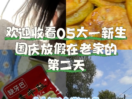 大学生的返乡日记哔哩哔哩bilibili