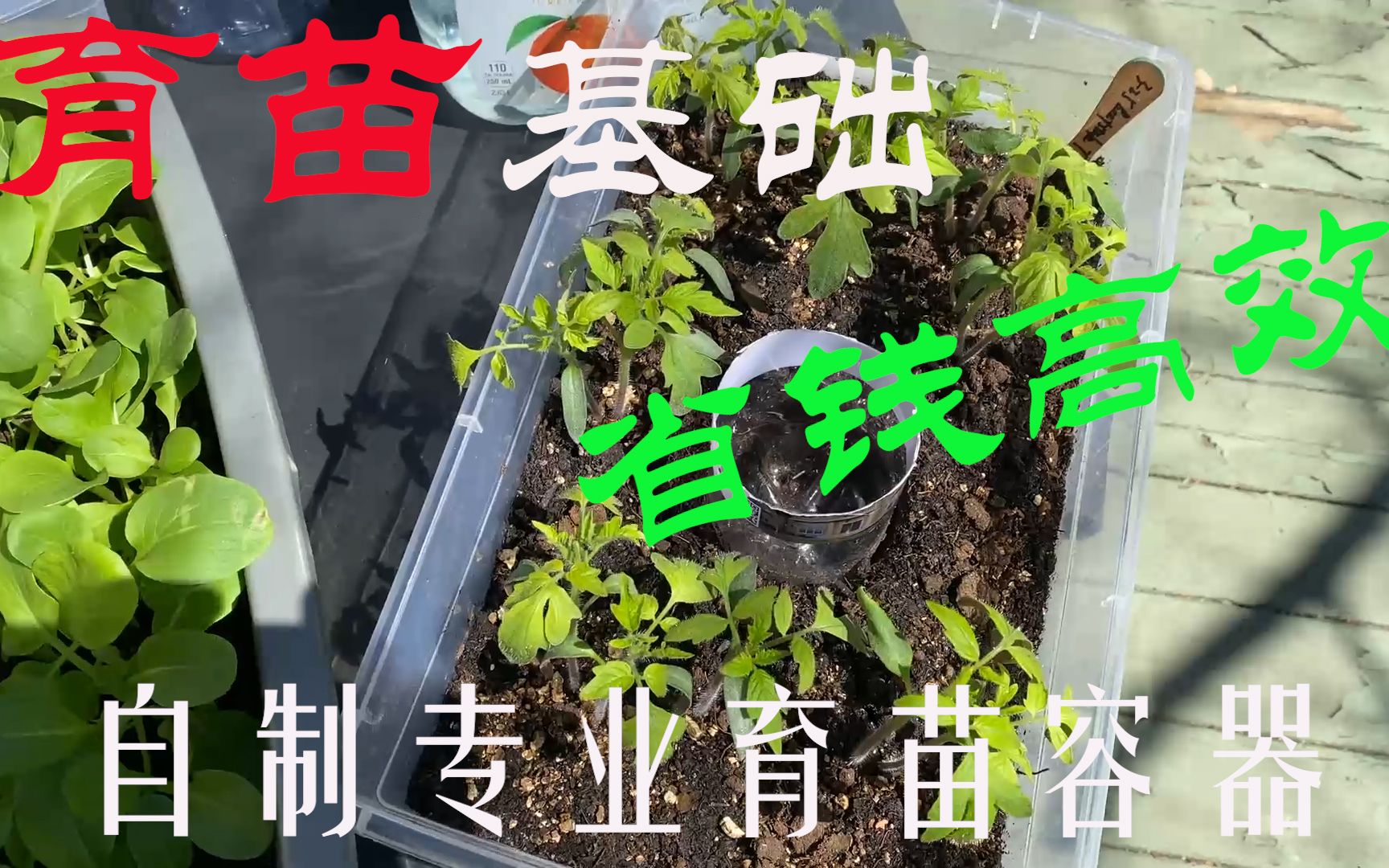 渔耕笔记种菜育苗自制专业育苗盒易用耐用省钱