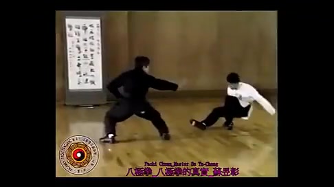 八极拳实战用法珍贵教学视频哔哩哔哩bilibili