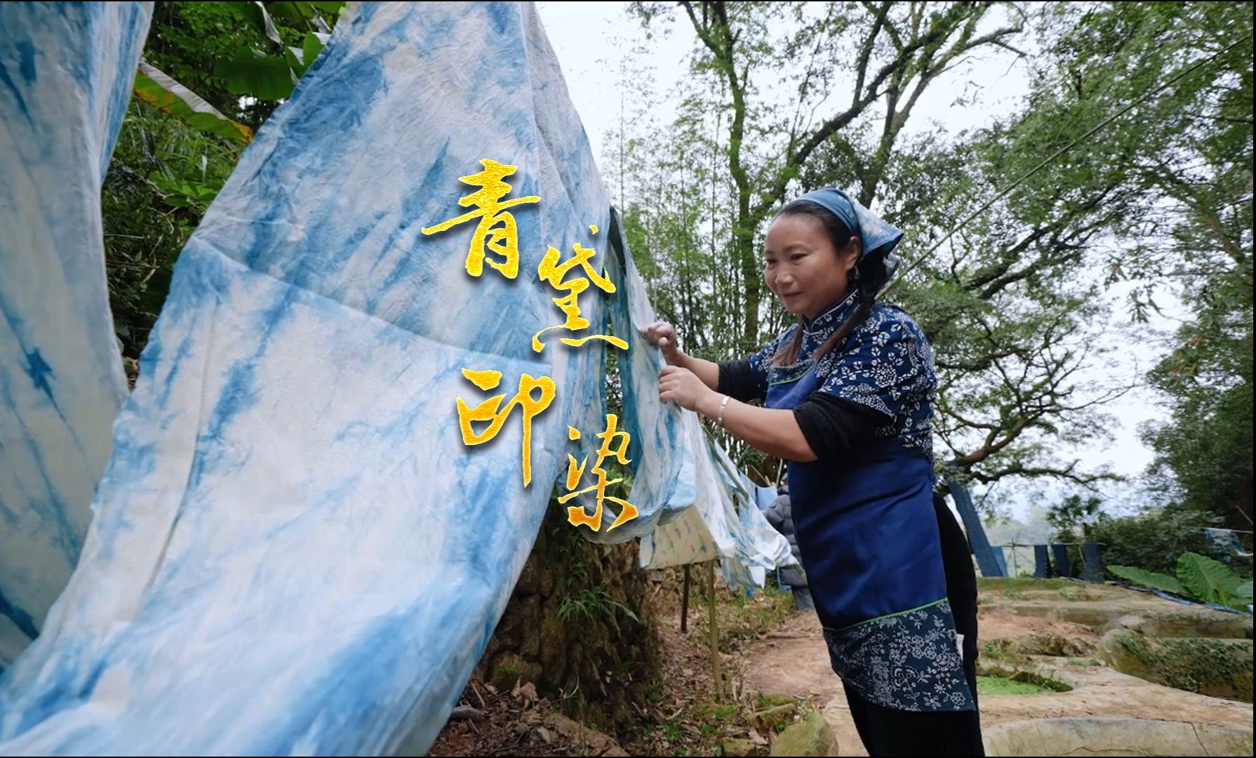 仙游非遗传承人 黄碧红,青黛印染,守护千年前那抹蓝哔哩哔哩bilibili