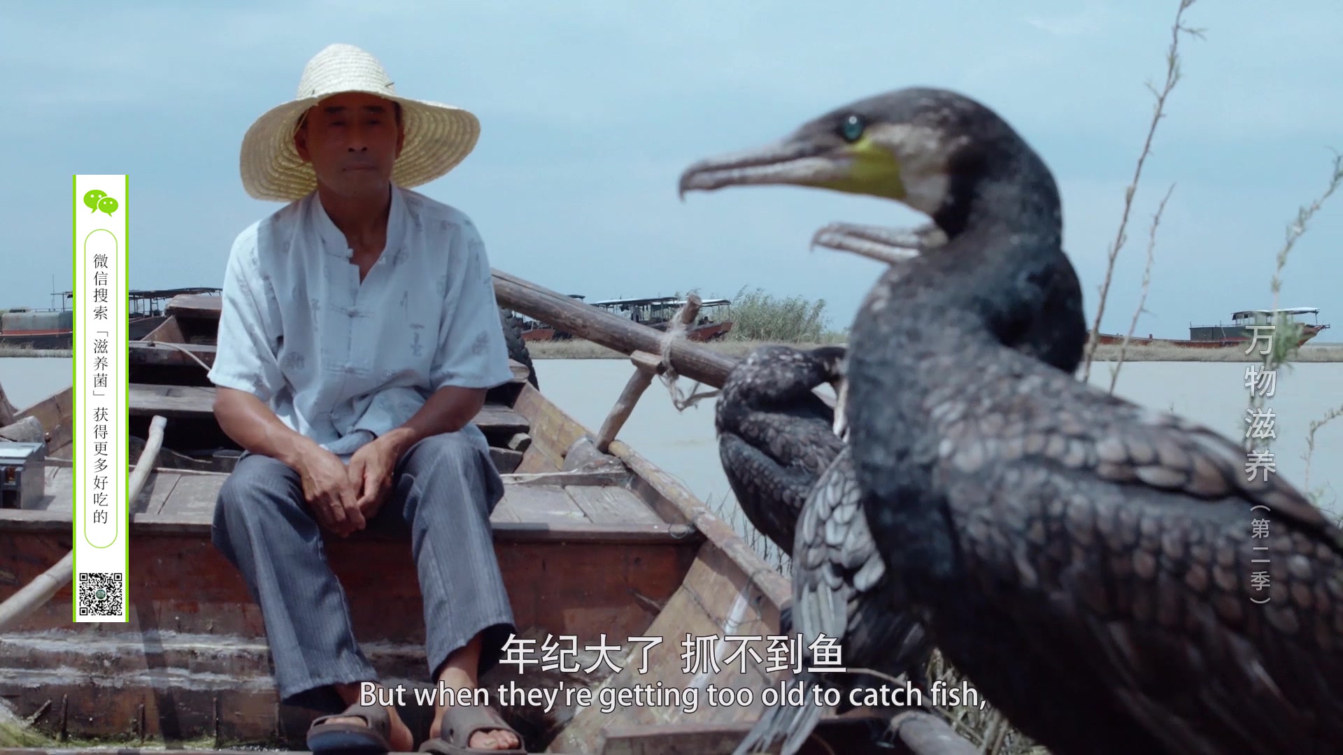 万物滋养 第二季