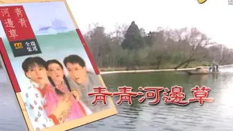 青青河边草 超清中视经典台HD 1992 岳翎 马景涛 刘雪华
