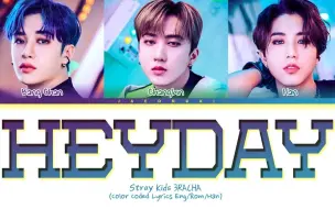 Download Video: 【Stray Kids】新歌HEYDAY-成员彩色分布版/街头男战士部分参赛曲目/3RACHA大发