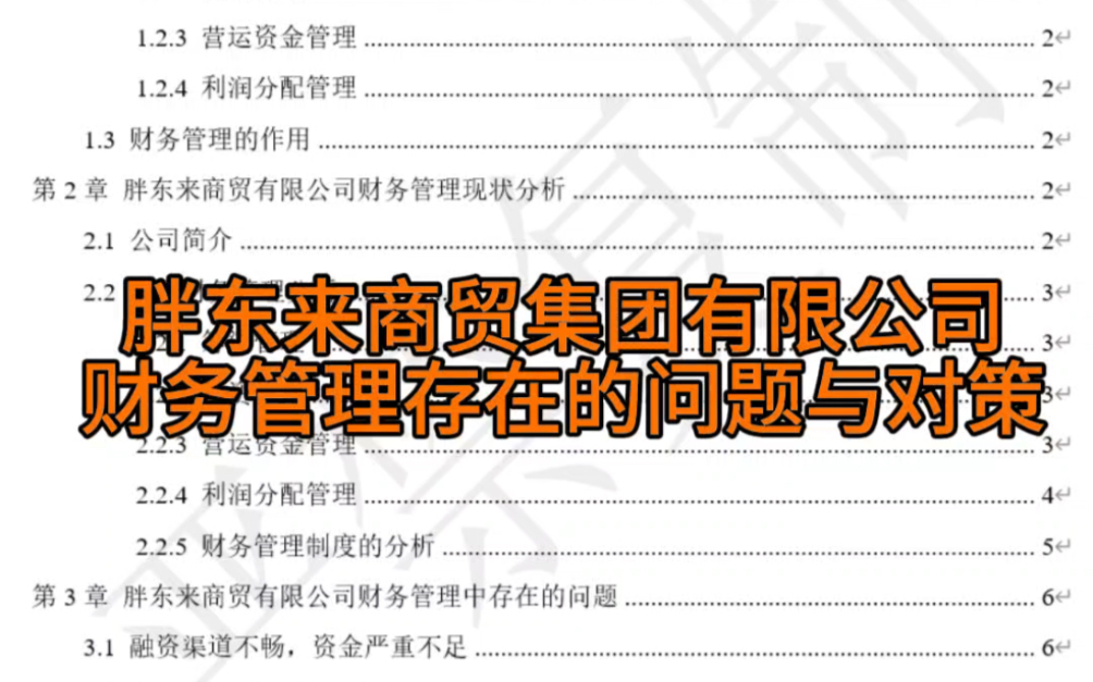 胖东来商贸集团有限公司财务管理存在的问题与对策哔哩哔哩bilibili