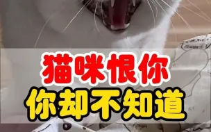 Download Video: 你跟猫猫的感情早就破裂，你却不知道