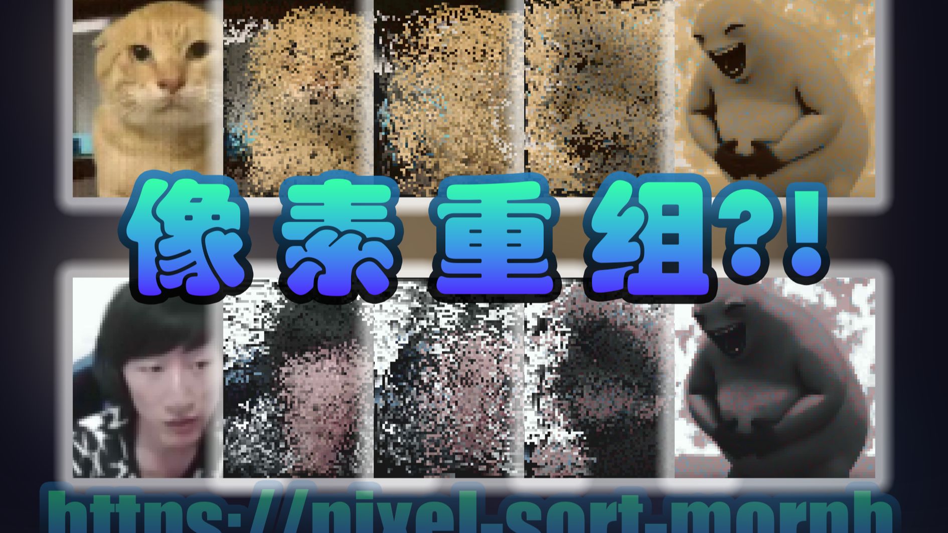 这个网站正在把所有图片重组为奶龙...或者别的什么