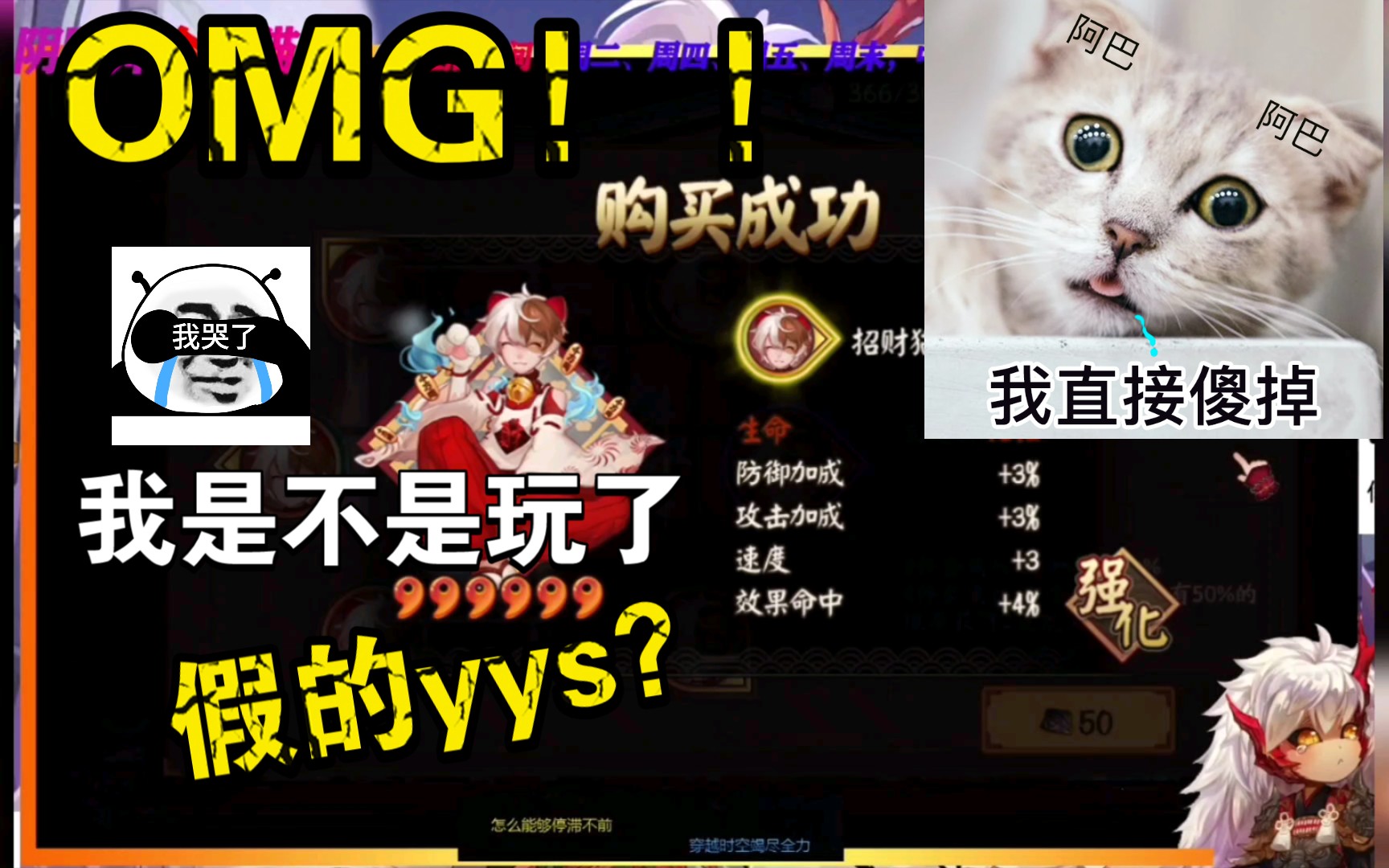 阴阳师金大猫儿 游戏社