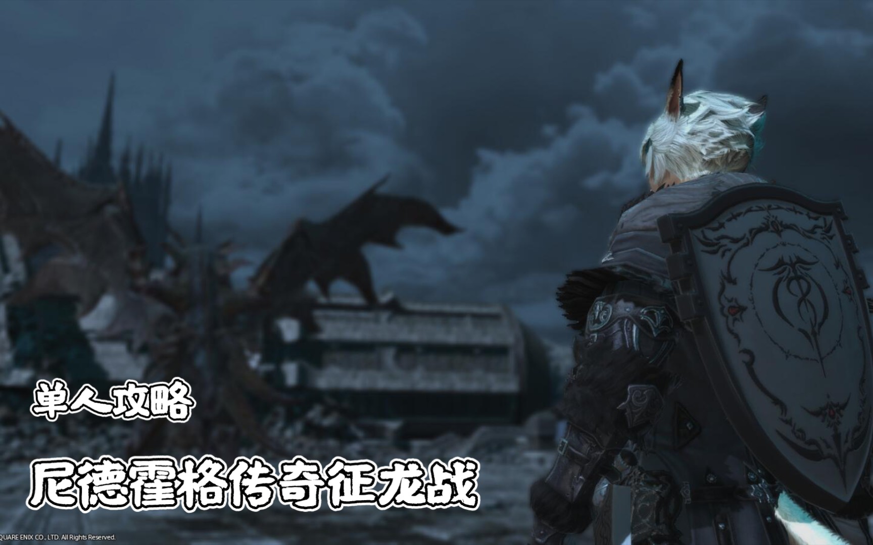 尼德霍格传奇征龙战单刷留念