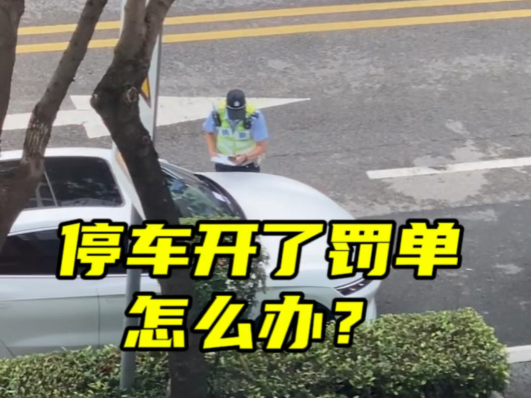 停车被开了罚单,今天教你一招轻松解决#每天一个用车知识 #驾驶证扣分哔哩哔哩bilibili