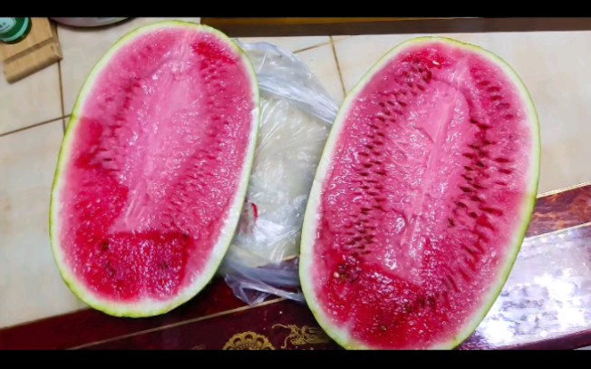 终于开了一个报恩西瓜,感谢石缝瓜_哔哩哔哩_bilibili