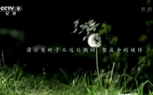 [图]【配音自制】你还在我身旁（CCTV公益短片《时光倒流》）