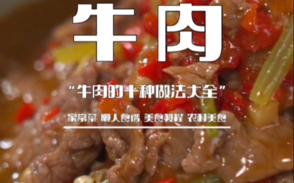 牛肉的十种做法大全~哔哩哔哩bilibili