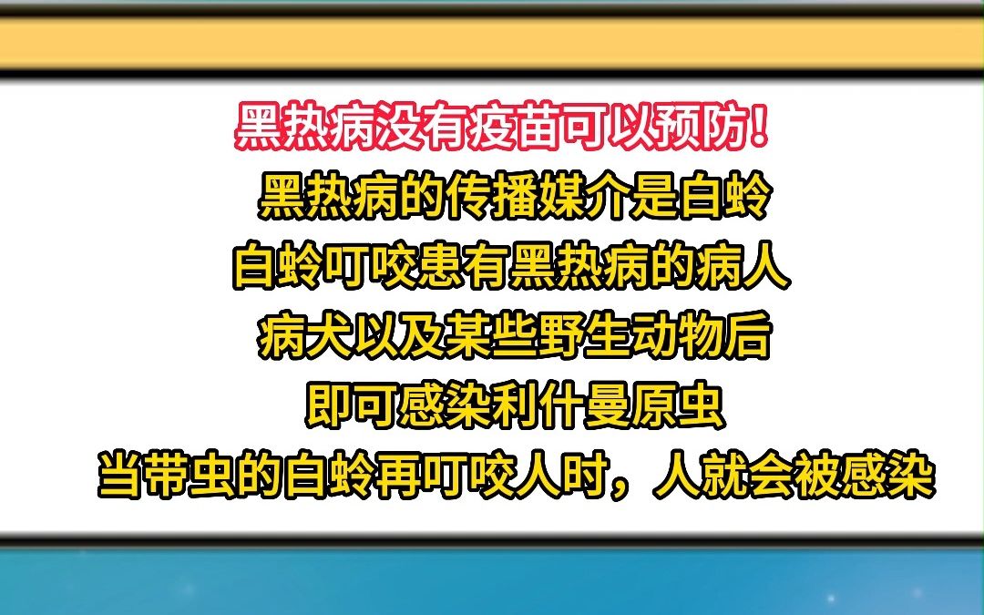 罕见!近日深圳大学总医院确诊一例黑热病!#健康 (来源:广州日报、广东发布、深圳特区报、深圳市疾控中心、第一现场、厦门日报)哔哩哔哩bilibili