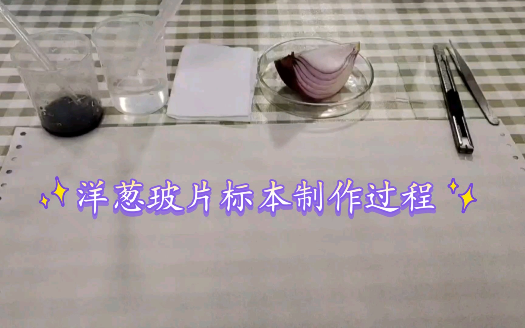 洋葱玻片标本制作过程哔哩哔哩bilibili