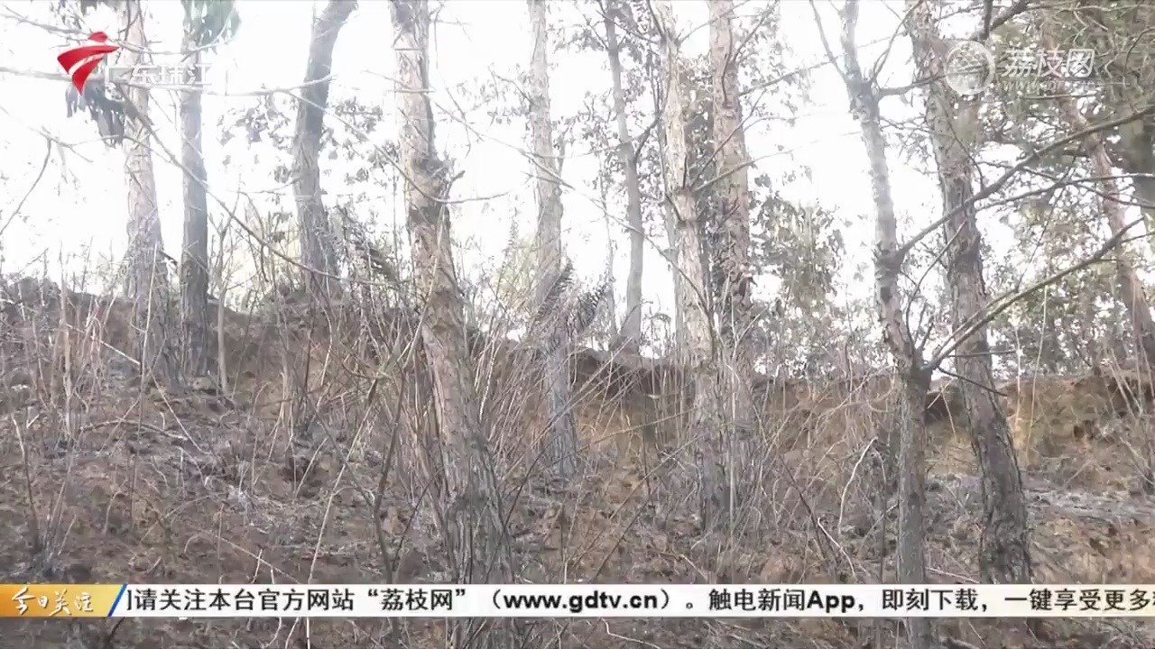 【粤语新闻】茂名信宜:G207国道旁疑因司机丢烟头引发山火 当地迅速扑救哔哩哔哩bilibili