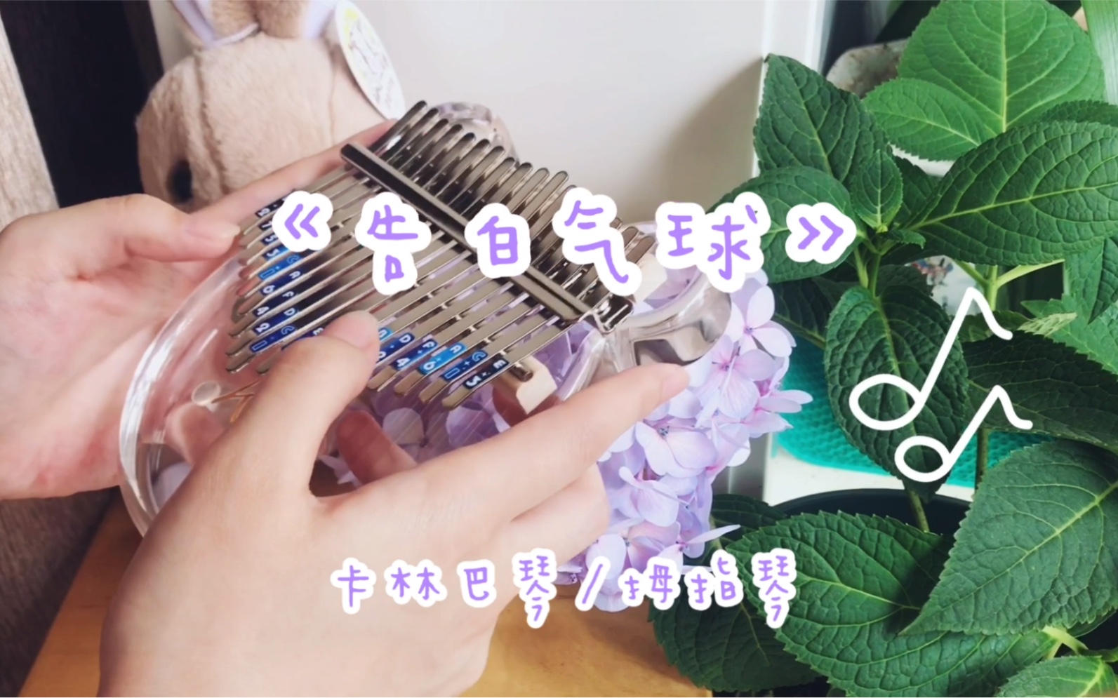 超美丽透明卡林巴琴拇指琴弹奏告白气球杨兔子