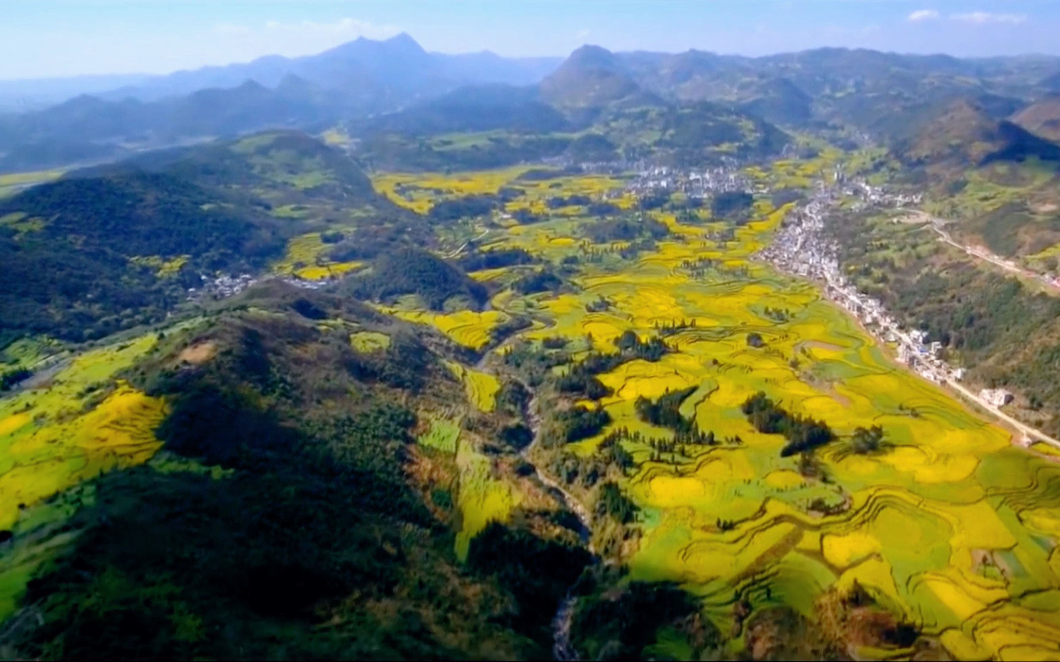 岁月赠予花香同时也将泥泞一并附赠,熬过来就是峰回路转柳暗花明